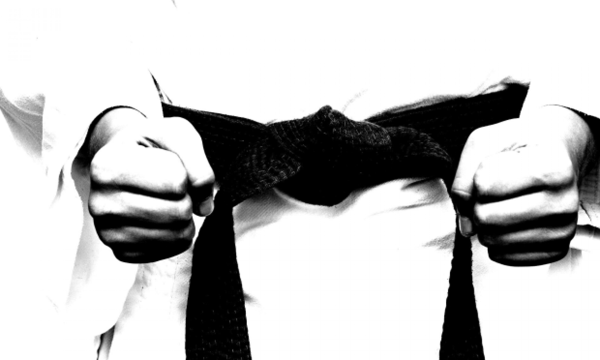 Karate Las Carcavas